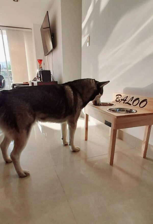 perro-comedero